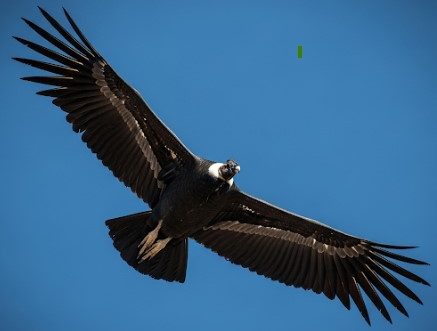 de bitácoras y otras cosas